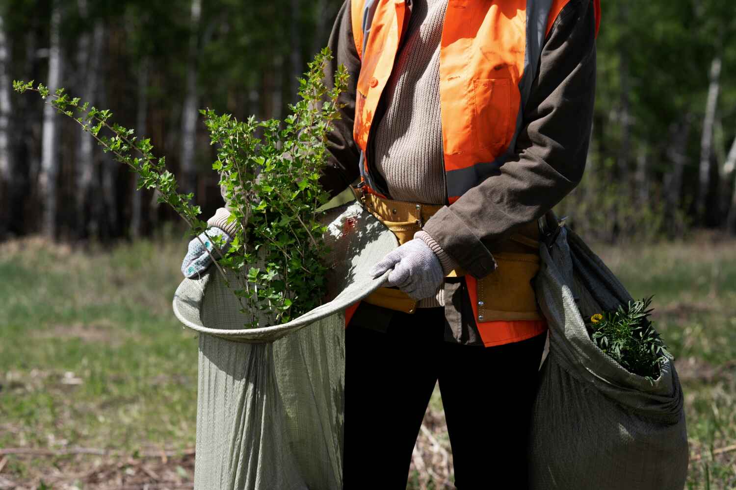 Marble Hill, MO Tree Service Company